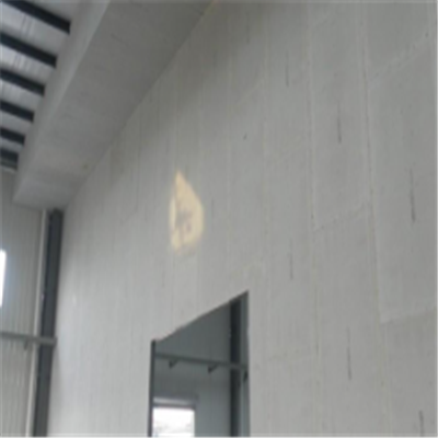 邻水宁波ALC板|EPS加气板隔墙与混凝土整浇联接的实验研讨